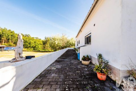 Byhus i Cadaval, Lisbon, Cadaval - € 460.000 | Ref: 875980 - foto 12