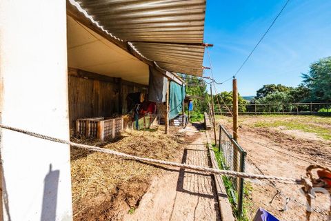 Byhus i Cadaval, Lisbon, Cadaval - € 460.000 | Ref: 875980 - foto 23