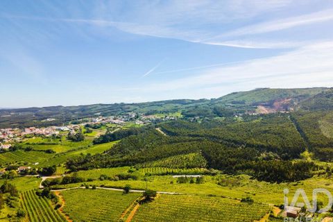Byhus i Cadaval, Lisbon, Cadaval - € 460.000 | Ref: 875980 - foto 40