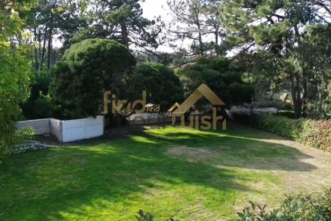 Landejendom i Obidos, Leiria, Obidos - € 1.600.000 | Ref: 00018 - foto 30