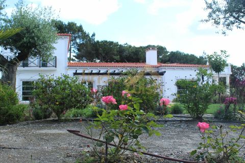 Landejendom i Obidos, Leiria, Obidos - € 1.600.000 | Ref: 00018 - foto 33