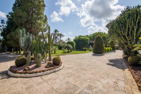Villa en Elche, Alicante, Elche - € 950.000 | Ref: MM05408/7663 - photo 12