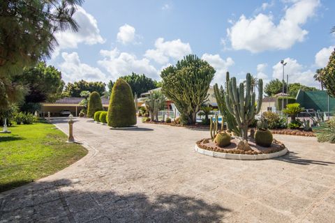 Villa en Elche, Alicante, Elche - € 950.000 | Ref: MM05408/7663 - photo 13