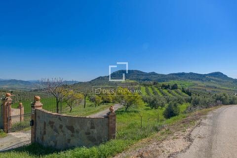 Landejendom i Alora, Malaga, Alora - € 1.290.000 | Ref: MLG68059 - foto 6