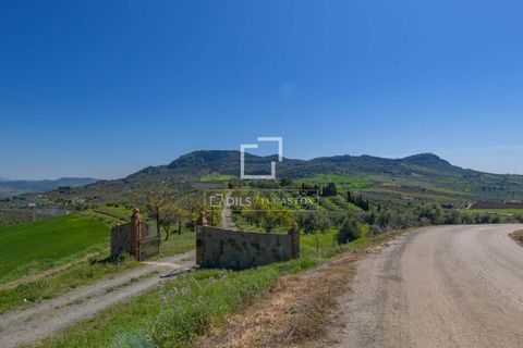 Landejendom i Alora, Malaga, Alora - € 1.290.000 | Ref: MLG68059 - foto 7