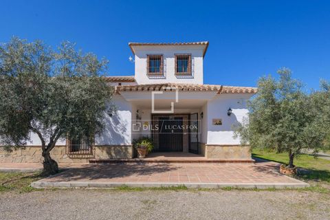 Landejendom i Alora, Malaga, Alora - € 1.290.000 | Ref: MLG68059 - foto 9