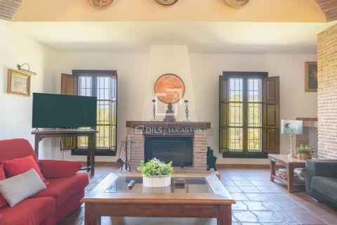 Landejendom i Alora, Malaga, Alora - € 1.290.000 | Ref: MLG68059 - foto 16