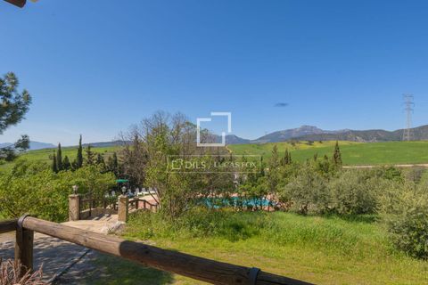 Landejendom i Alora, Malaga, Alora - € 1.290.000 | Ref: MLG68059 - foto 45