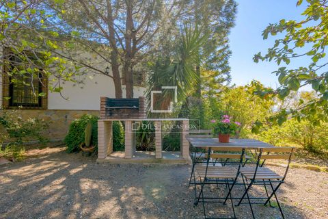 Landejendom i Alora, Malaga, Alora - € 1.290.000 | Ref: MLG68059 - foto 46