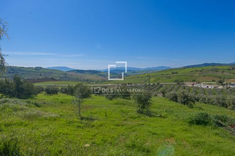 Landejendom i Alora, Malaga, Alora - € 1.290.000 | Ref: MLG68059 - foto 48