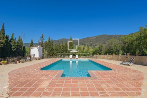 Landejendom i Alora, Malaga, Alora - € 1.290.000 | Ref: MLG68059 - foto 50