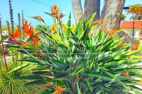 Villa a Santa Ursula, Tenerife, Santa Ursula - € 559.000 | Ref: 1078 - foto 7