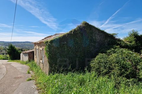 Helårsgrund i Pombal, Leiria, Pombal - € 40.000 | Ref: SÒL_364 - foto 3