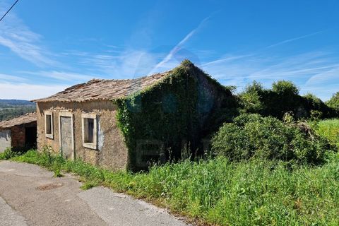 Helårsgrund i Pombal, Leiria, Pombal - € 40.000 | Ref: SÒL_364 - foto 5
