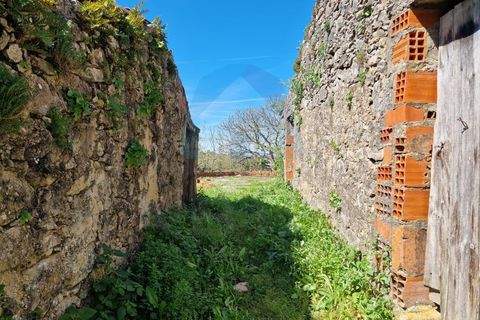 Helårsgrund i Pombal, Leiria, Pombal - € 40.000 | Ref: SÒL_364 - foto 6