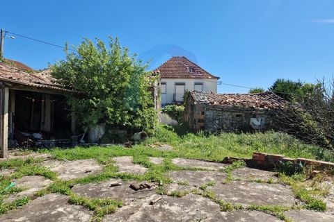 Helårsgrund i Pombal, Leiria, Pombal - € 40.000 | Ref: SÒL_364 - foto 7
