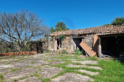 Helårsgrund i Pombal, Leiria, Pombal - € 40.000 | Ref: SÒL_364 - foto 8