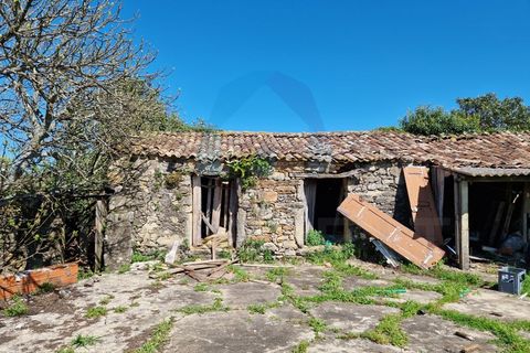 Helårsgrund i Pombal, Leiria, Pombal - € 40.000 | Ref: SÒL_364 - foto 10