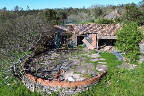 Helårsgrund i Pombal, Leiria, Pombal - € 40.000 | Ref: SÒL_364 - foto 11