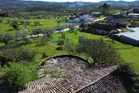 Helårsgrund i Pombal, Leiria, Pombal - € 40.000 | Ref: SÒL_364 - foto 12