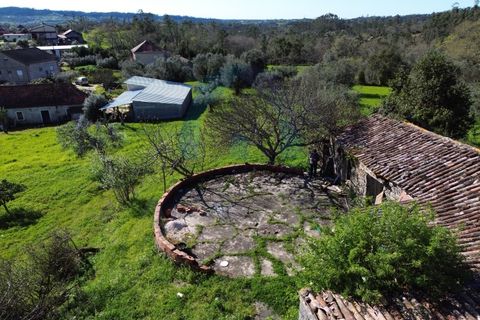 Helårsgrund i Pombal, Leiria, Pombal - € 40.000 | Ref: SÒL_364 - foto 13