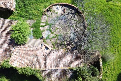 Helårsgrund i Pombal, Leiria, Pombal - € 40.000 | Ref: SÒL_364 - foto 14