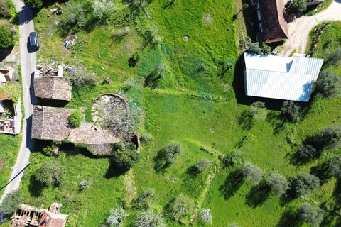 Helårsgrund i Pombal, Leiria, Pombal - € 40.000 | Ref: SÒL_364 - foto 15