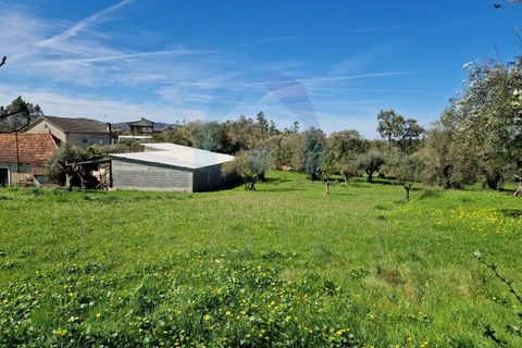 Helårsgrund i Pombal, Leiria, Pombal - € 40.000 | Ref: SÒL_364 - foto 17