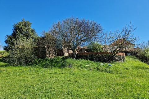 Helårsgrund i Pombal, Leiria, Pombal - € 40.000 | Ref: SÒL_364 - foto 19