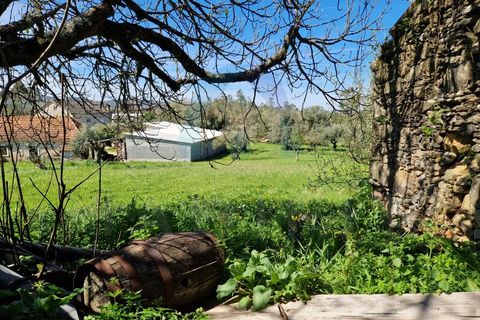 Helårsgrund i Pombal, Leiria, Pombal - € 40.000 | Ref: SÒL_364 - foto 20