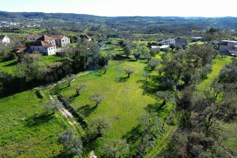 Helårsgrund i Pombal, Leiria, Pombal - € 30.000 | Ref: TER_363 - foto 1