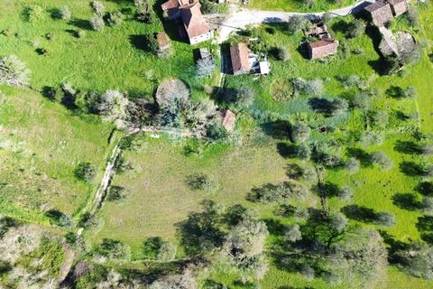 Helårsgrund i Pombal, Leiria, Pombal - € 30.000 | Ref: TER_363 - foto 2