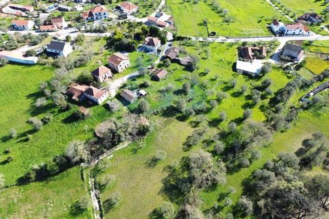Helårsgrund i Pombal, Leiria, Pombal - € 30.000 | Ref: TER_363 - foto 3