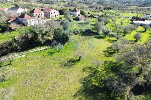 Helårsgrund i Pombal, Leiria, Pombal - € 30.000 | Ref: TER_363 - foto 5