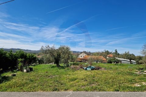 Helårsgrund i Pombal, Leiria, Pombal - € 35.000 | Ref: TER_362 - foto 2