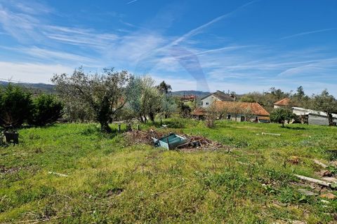Helårsgrund i Pombal, Leiria, Pombal - € 35.000 | Ref: TER_362 - foto 3