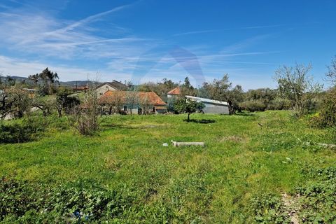 Helårsgrund i Pombal, Leiria, Pombal - € 35.000 | Ref: TER_362 - foto 4