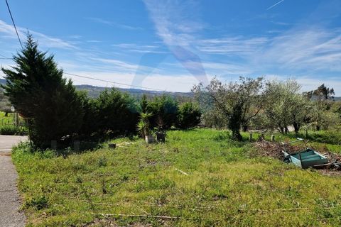 Helårsgrund i Pombal, Leiria, Pombal - € 35.000 | Ref: TER_362 - foto 5