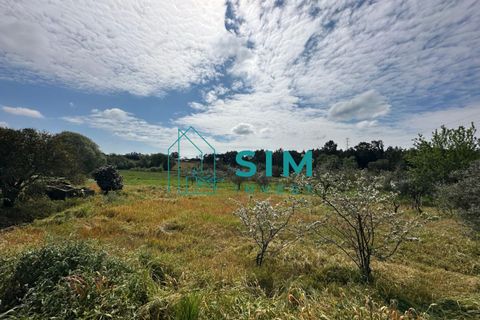Tomt i Azambuja, Lisbon, Azambuja - € 76 150 | Ref: OF308 - foto 2