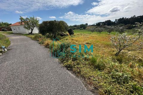 Tomt i Azambuja, Lisbon, Azambuja - € 76 150 | Ref: OF308 - foto 4