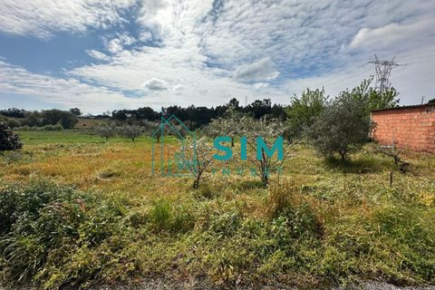 Tomt i Azambuja, Lisbon, Azambuja - € 76 150 | Ref: OF308 - foto 5