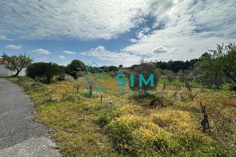 Tomt i Azambuja, Lisbon, Azambuja - € 76 150 | Ref: OF308 - foto 7
