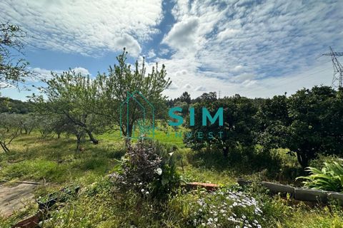 Tomt i Azambuja, Lisbon, Azambuja - € 76 150 | Ref: OF308 - foto 8