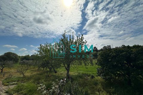 Tomt i Azambuja, Lisbon, Azambuja - € 76 150 | Ref: OF308 - foto 9