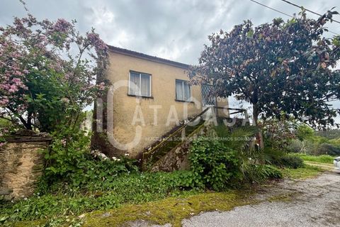 Lejlighed i Belazaima do Chao, Aveiro, Belazaima do Chao - € 151.000 | Ref: 13/2026 - foto 2
