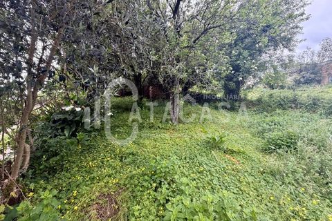 Lejlighed i Belazaima do Chao, Aveiro, Belazaima do Chao - € 151.000 | Ref: 13/2026 - foto 14