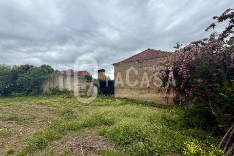 Lejlighed i Belazaima do Chao, Aveiro, Belazaima do Chao - € 151.000 | Ref: 13/2026 - foto 15
