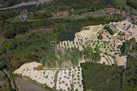 Farm i Celorico da Beira, Guarda, Celorico da Beira - € 750.000 | Ref: QUI2211MVR - foto 4