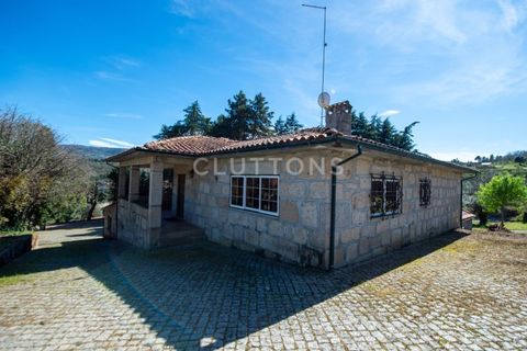 Farm i Celorico da Beira, Guarda, Celorico da Beira - € 750.000 | Ref: QUI2211MVR - foto 7
