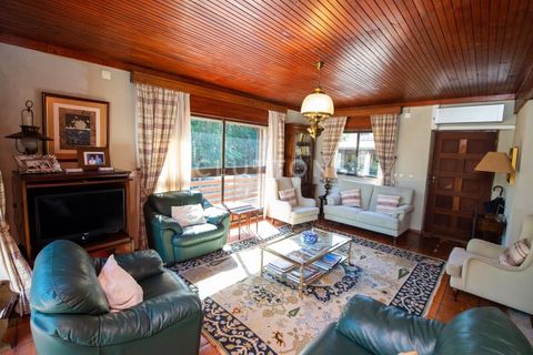 Farm i Celorico da Beira, Guarda, Celorico da Beira - € 750.000 | Ref: QUI2211MVR - foto 10